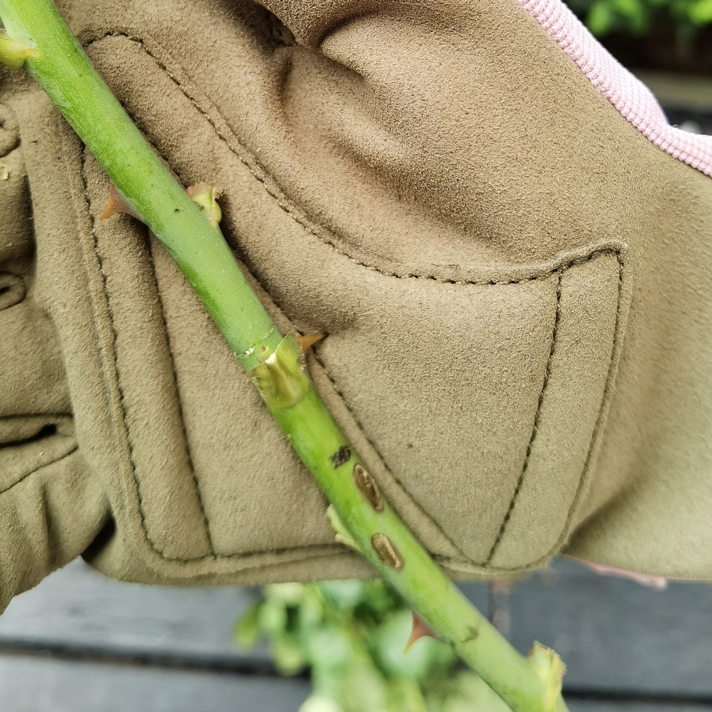 Gardening Gloves