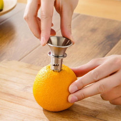 Fruit Juice Squeezer