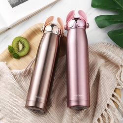 Stainless Steel Bottle