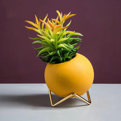 Succulent Flower Pot Planter