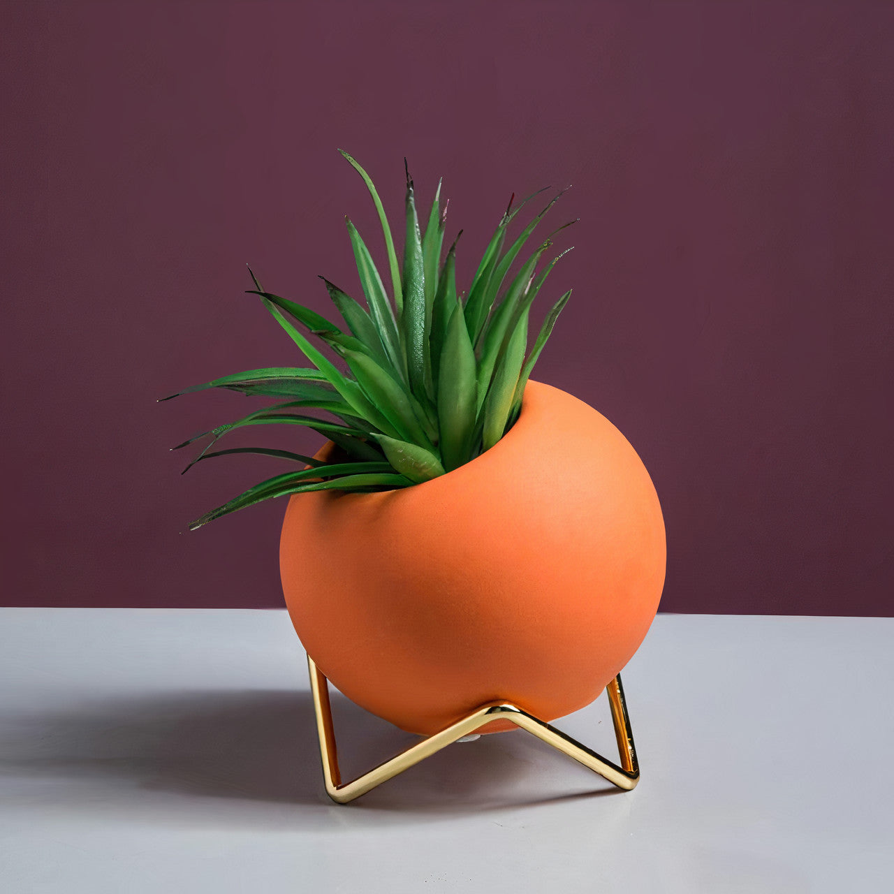 Succulent Flower Pot Planter