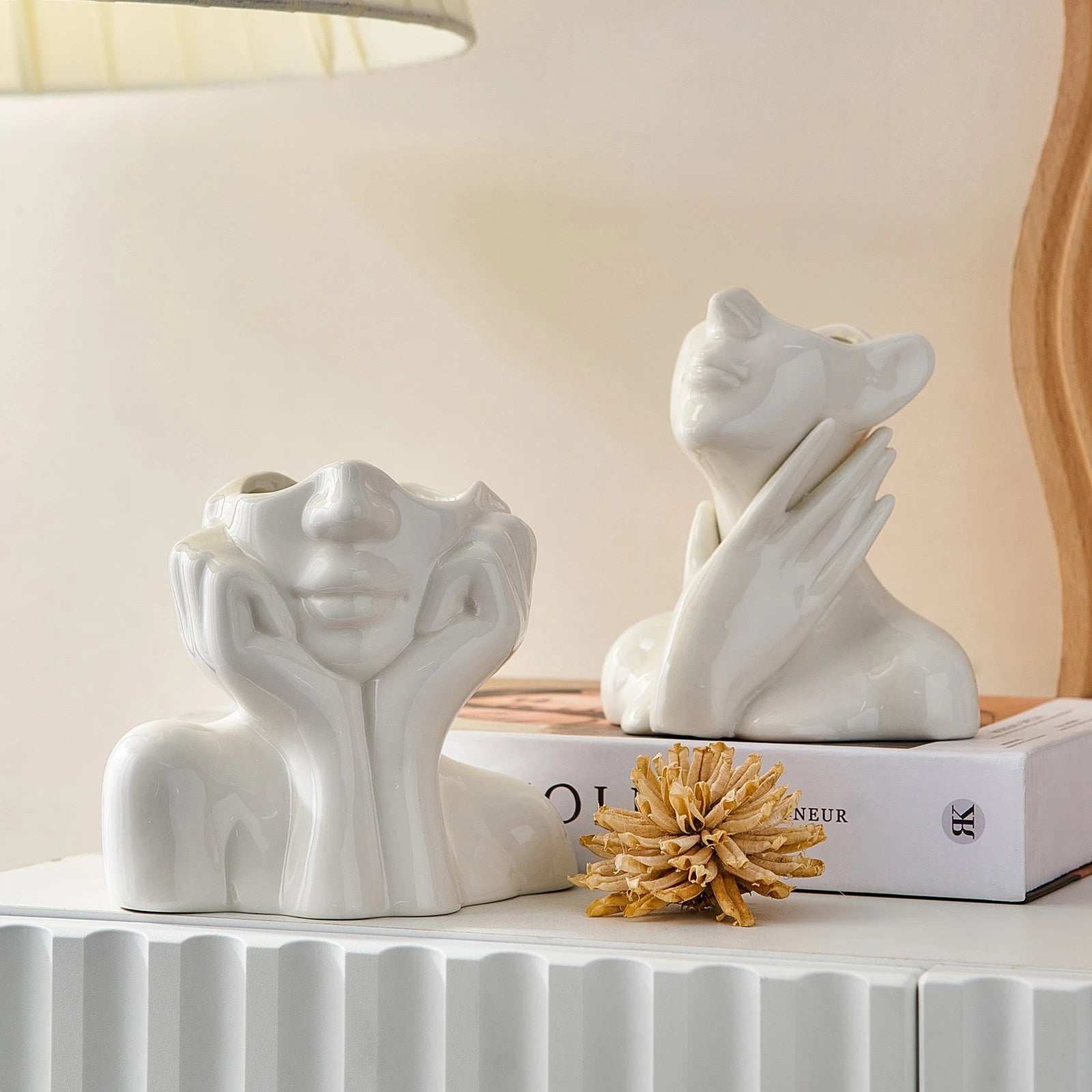 Modern art face vases